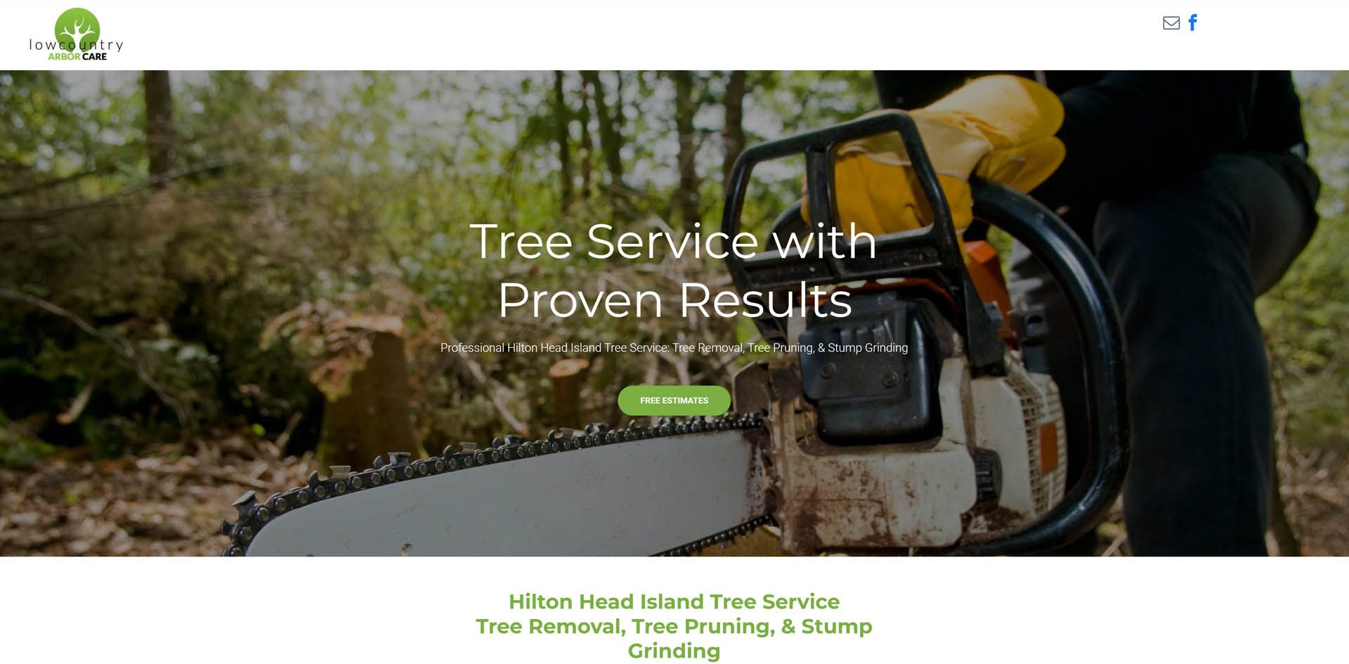 A person is holding a chainsaw in a forest.