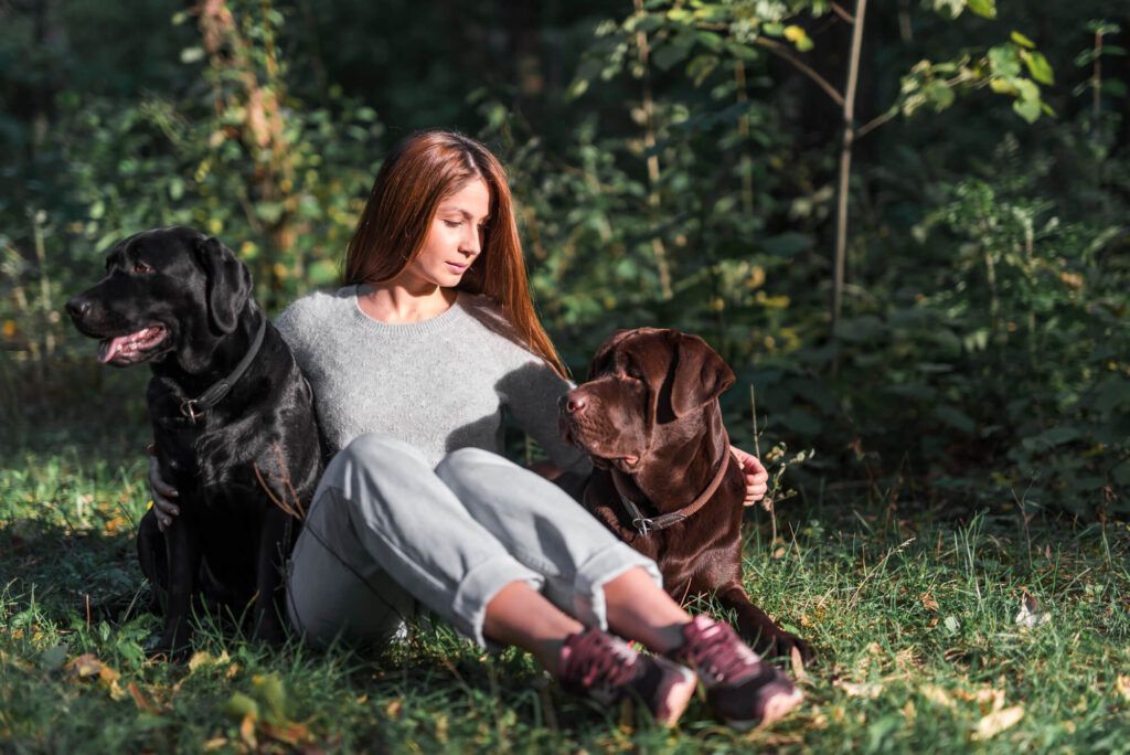 Woman sitting with two Labrador Retrievers in a grassy outdoor setting.