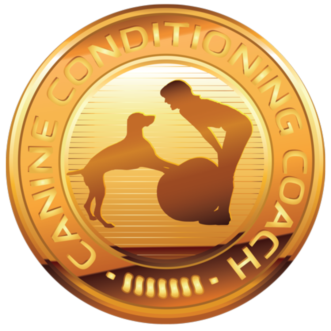 Gold medallion: silhouette of dog with person near exercise ball, "Canine Conditioning Coach" text.