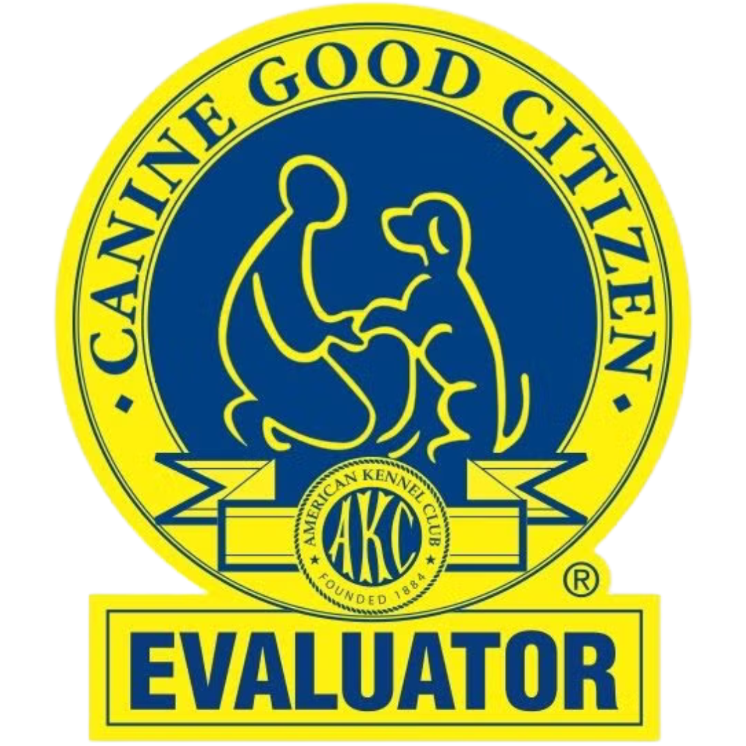 Canine Good Citizen Evaluator logo. Blue and yellow with outline of person and dog.