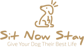 Logo of a dog sitting with rays above its head, with text