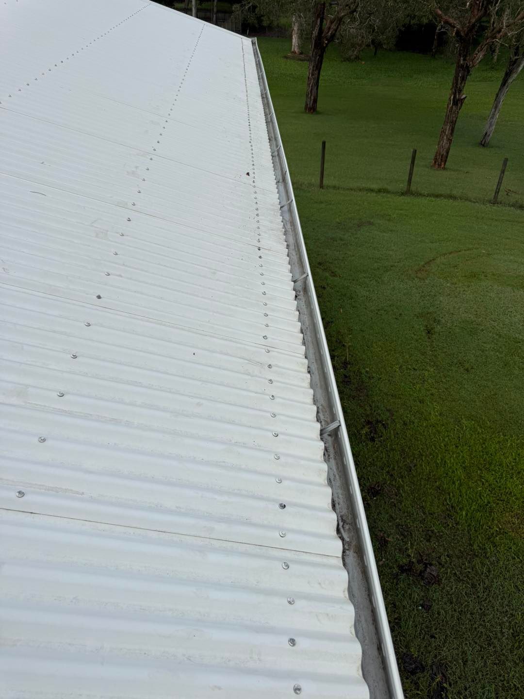 White Corrugated Metal Roof Beside a Grassy Yard With Trees and Fence Posts — CPR Exterior Cleaning in Svensson Heights, QLD
