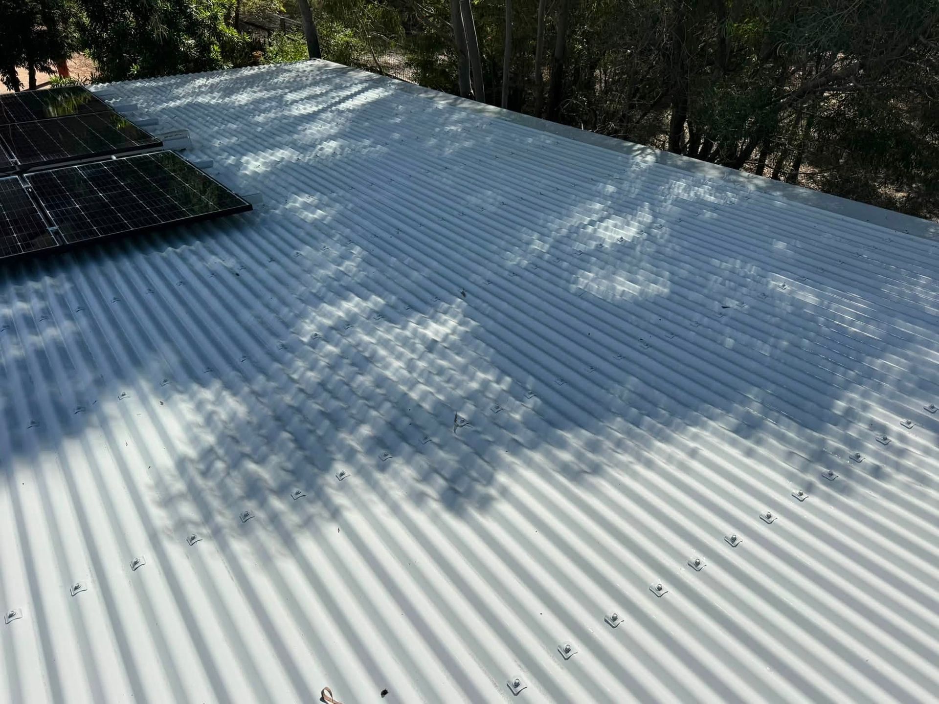 Corrugated Metal Roof With Tree Shadows in a Wooded Area — CPR Exterior Cleaning in Innes Park, QLD