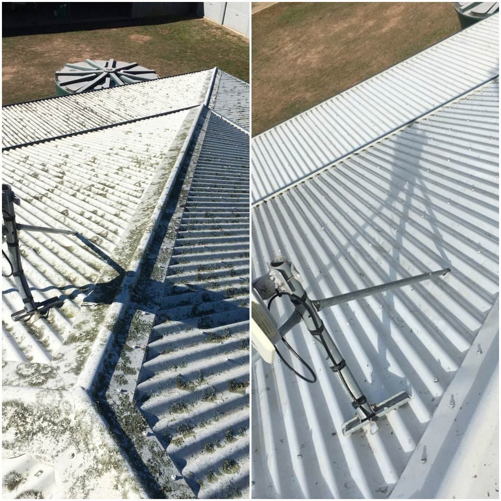 Removing the Stains on the Roof — CPR Exterior Cleaning in Svensson Heights, QLD