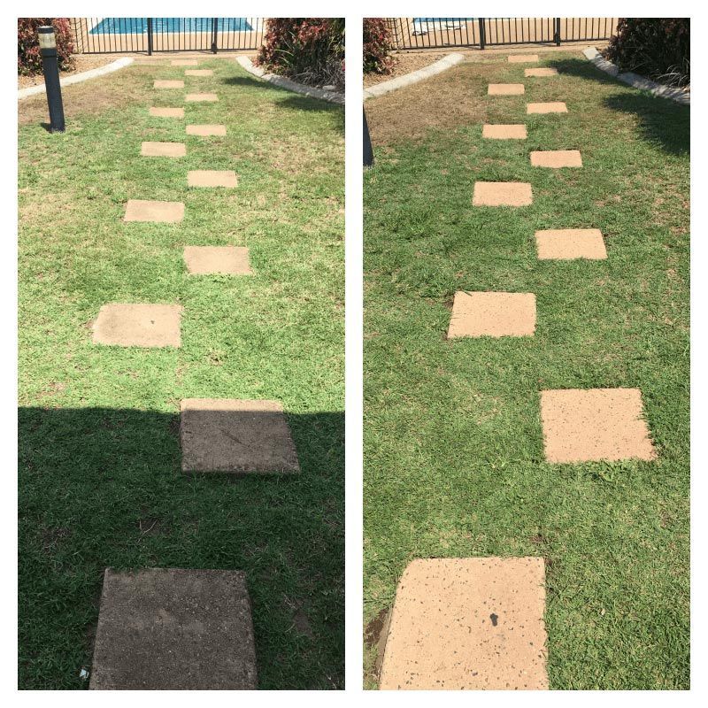 Garden With Stone Pathway — CPR Exterior Cleaning in Svensson Heights, QLD