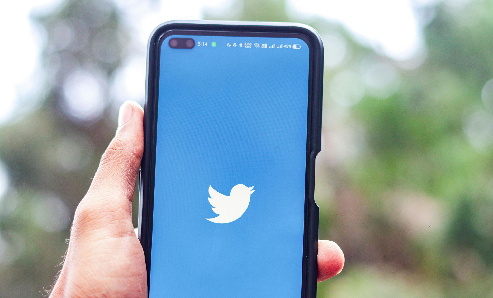 Person holding a smartphone displaying the Twitter logo on a blue background.