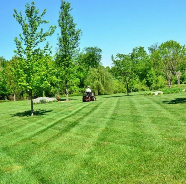 best lawn care in norman OK
