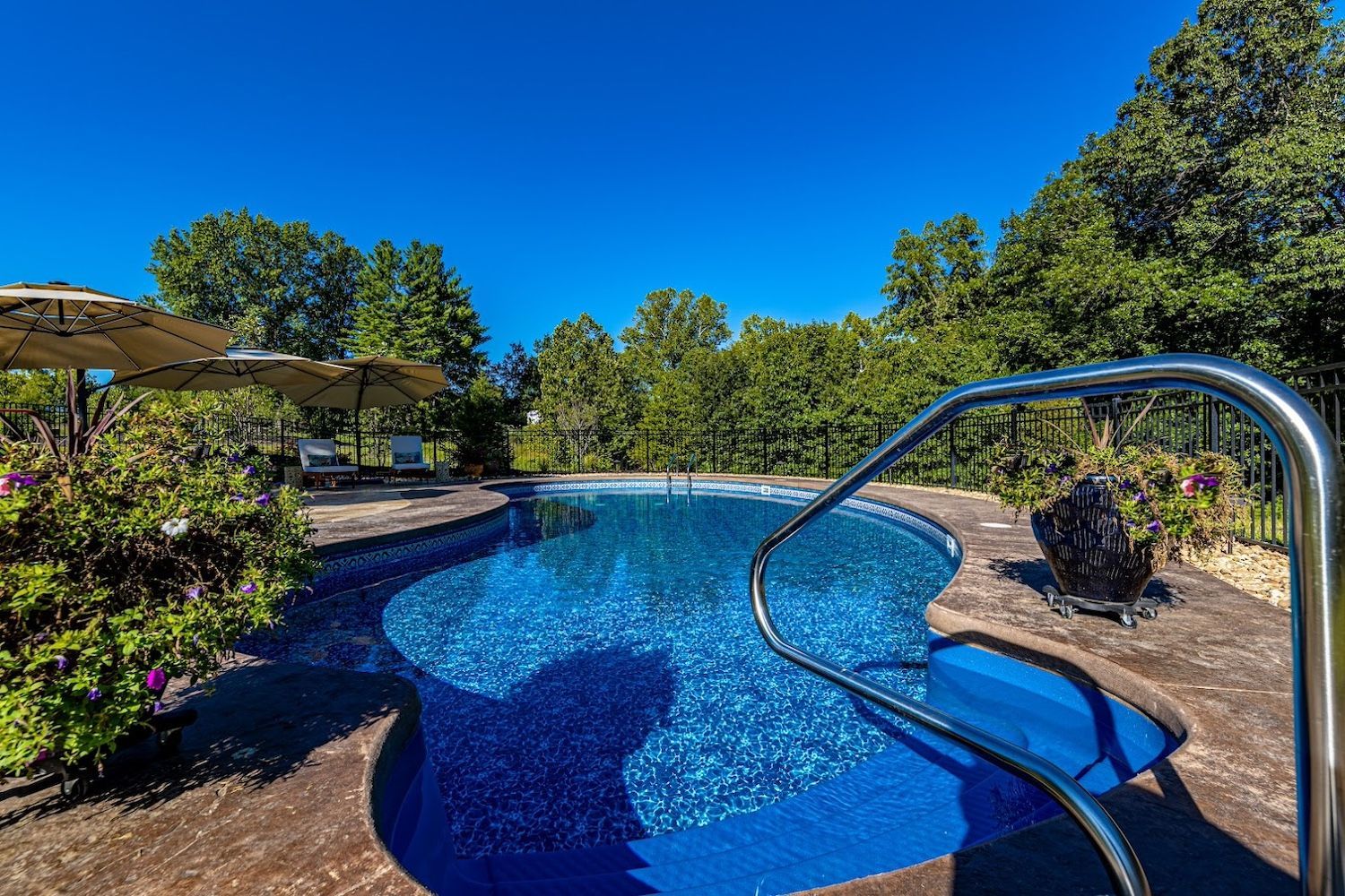 Curved backyard pool with blue water, stainless handrail, and trees under a clear sky