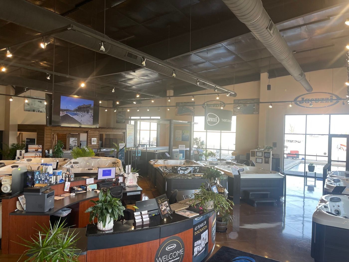 Modern open office interior with desks, plants, computers, and large windows giving bright natural light