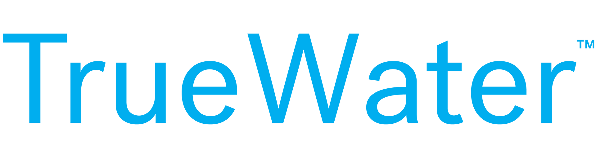 TrueWater logo in blue with small TM symbol on a white background