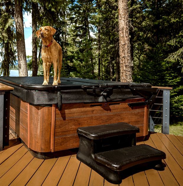 Dog standing on a covered hot tub on a wooden deck in a forested backyard