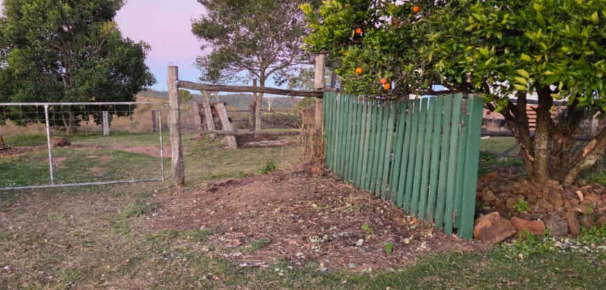 A wooden fence and gate lead to a grassy yard with trees, including an orange tree.