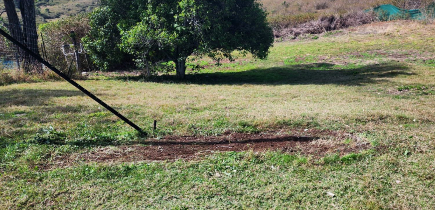 Green grassy landscape with a tree in the background and a dark, straight line in the foreground.