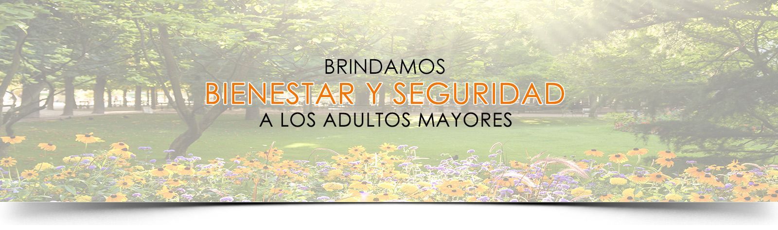 Centro geriátrico
