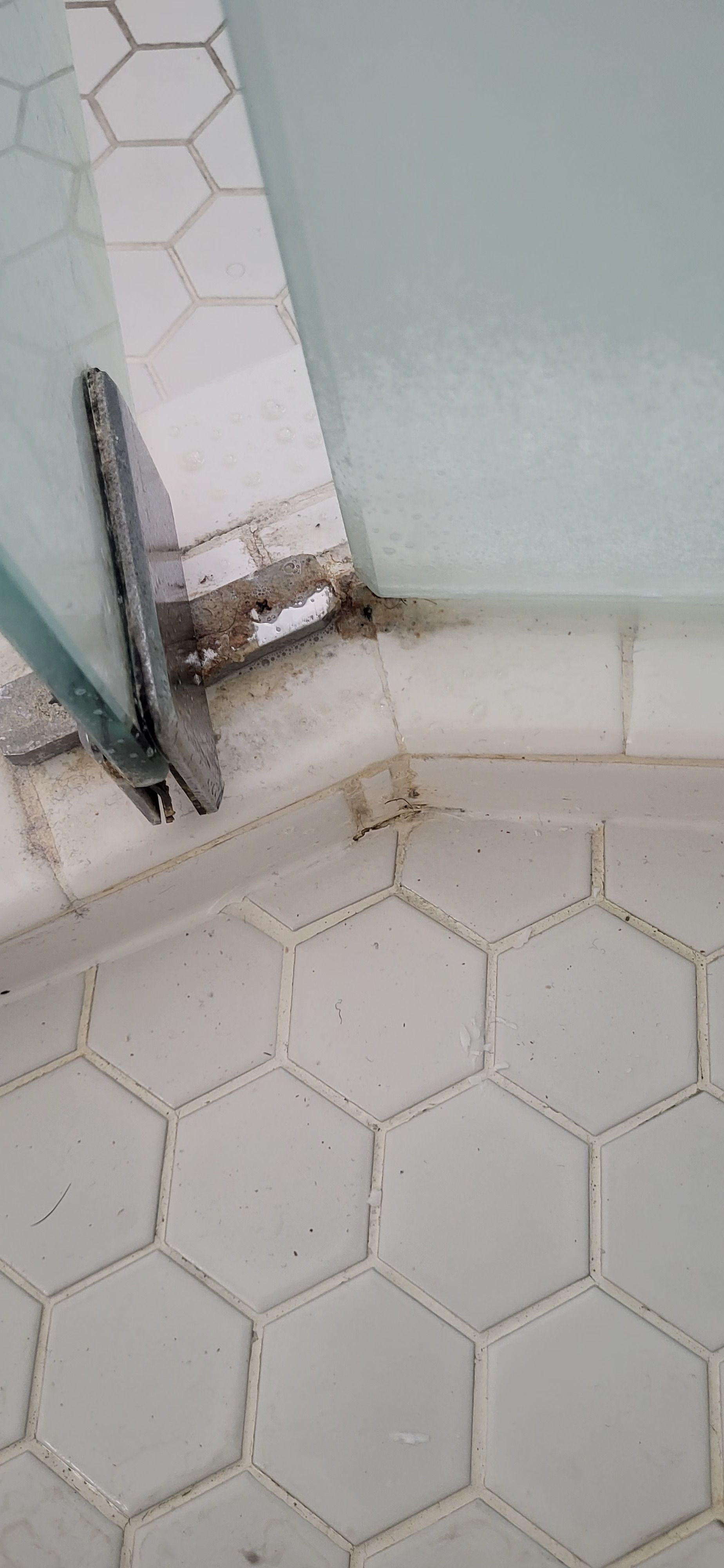 A yellow brush being used to clean grout lines between tiles, removing dirt and stains effectively.