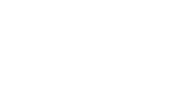 un zeste