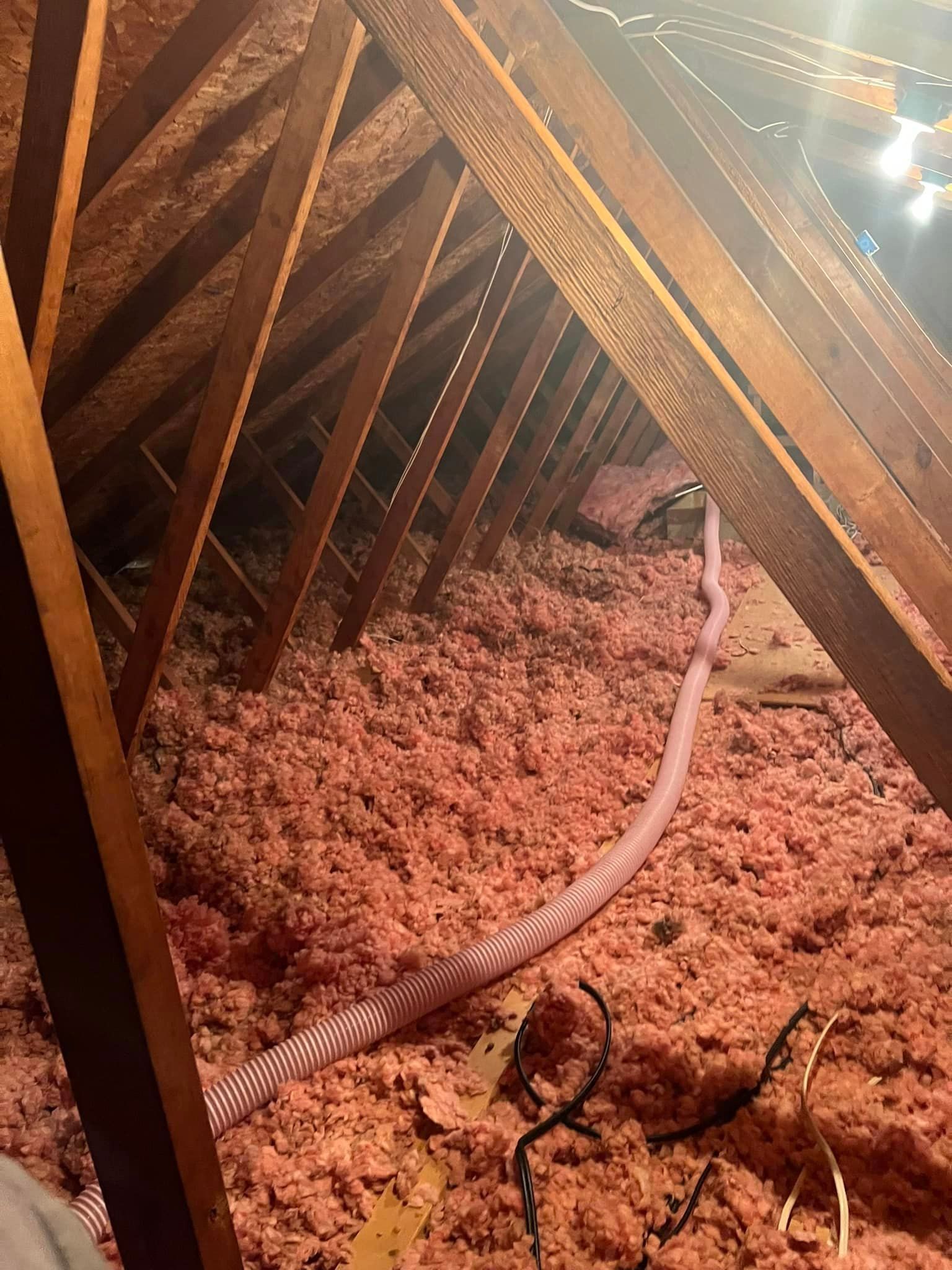 An attic filled with pink insulation and a hose.