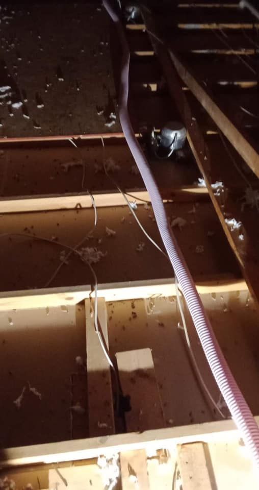 A snake is hanging from the ceiling of a building
