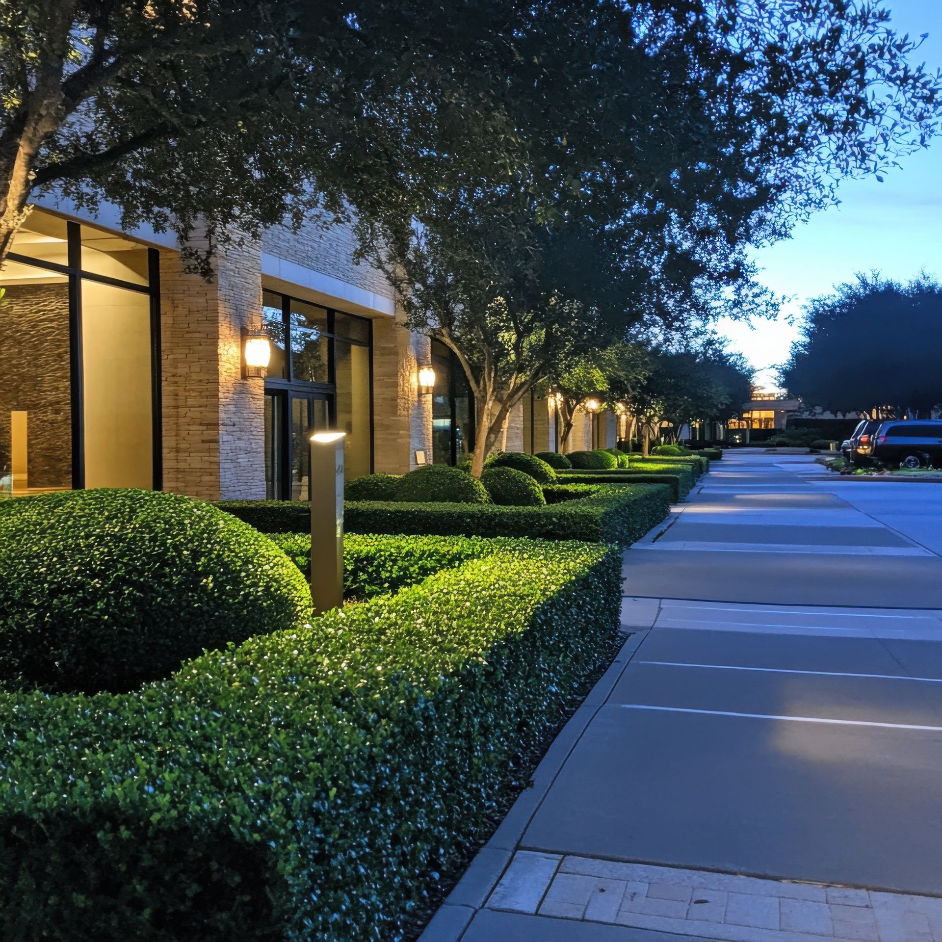 Tree-lined sidewalk beside a lit building at dusk, with neatly trimmed hedges and lampposts.