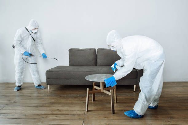 Hazmat suits spraying couch
