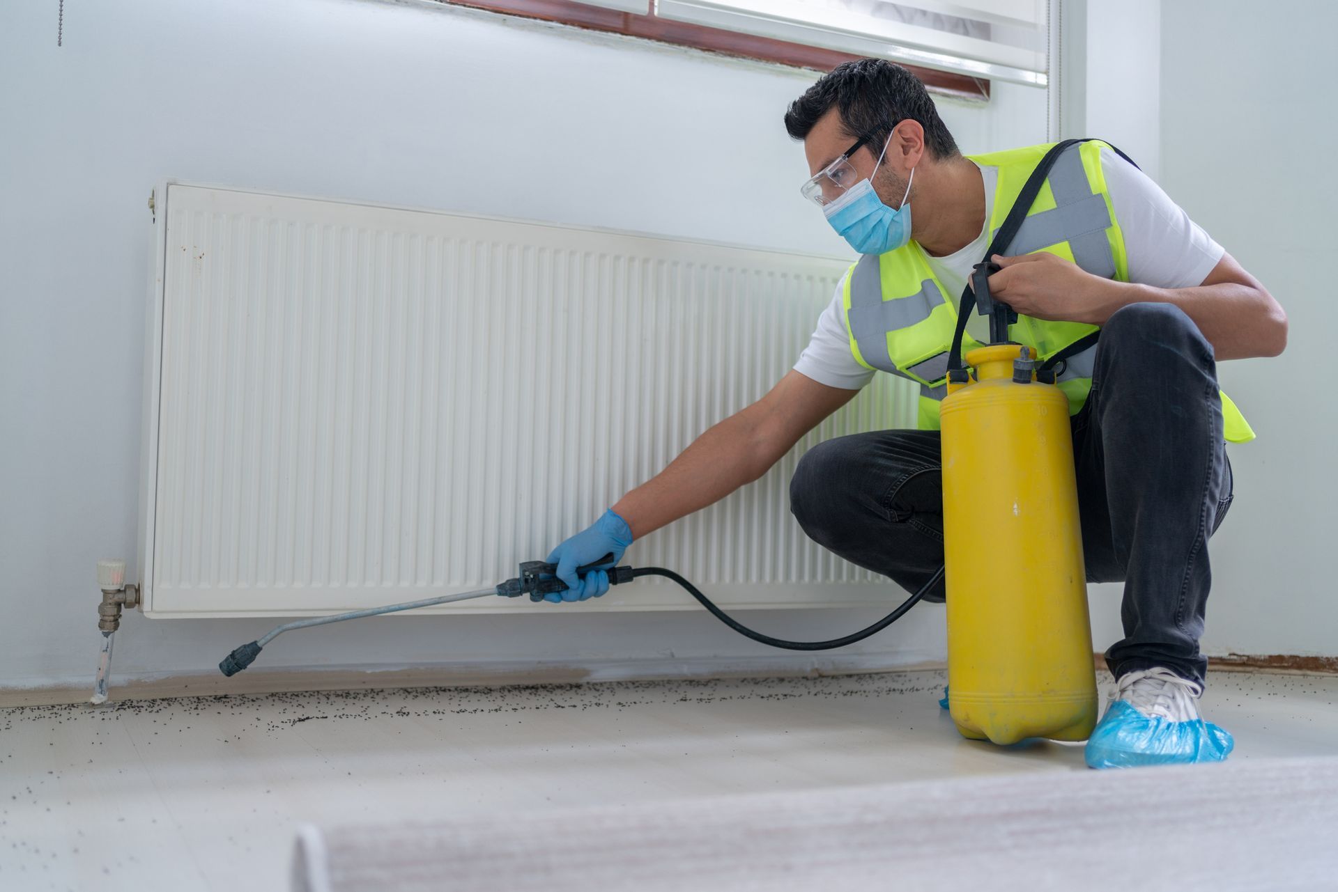 Technician treating ant trail
