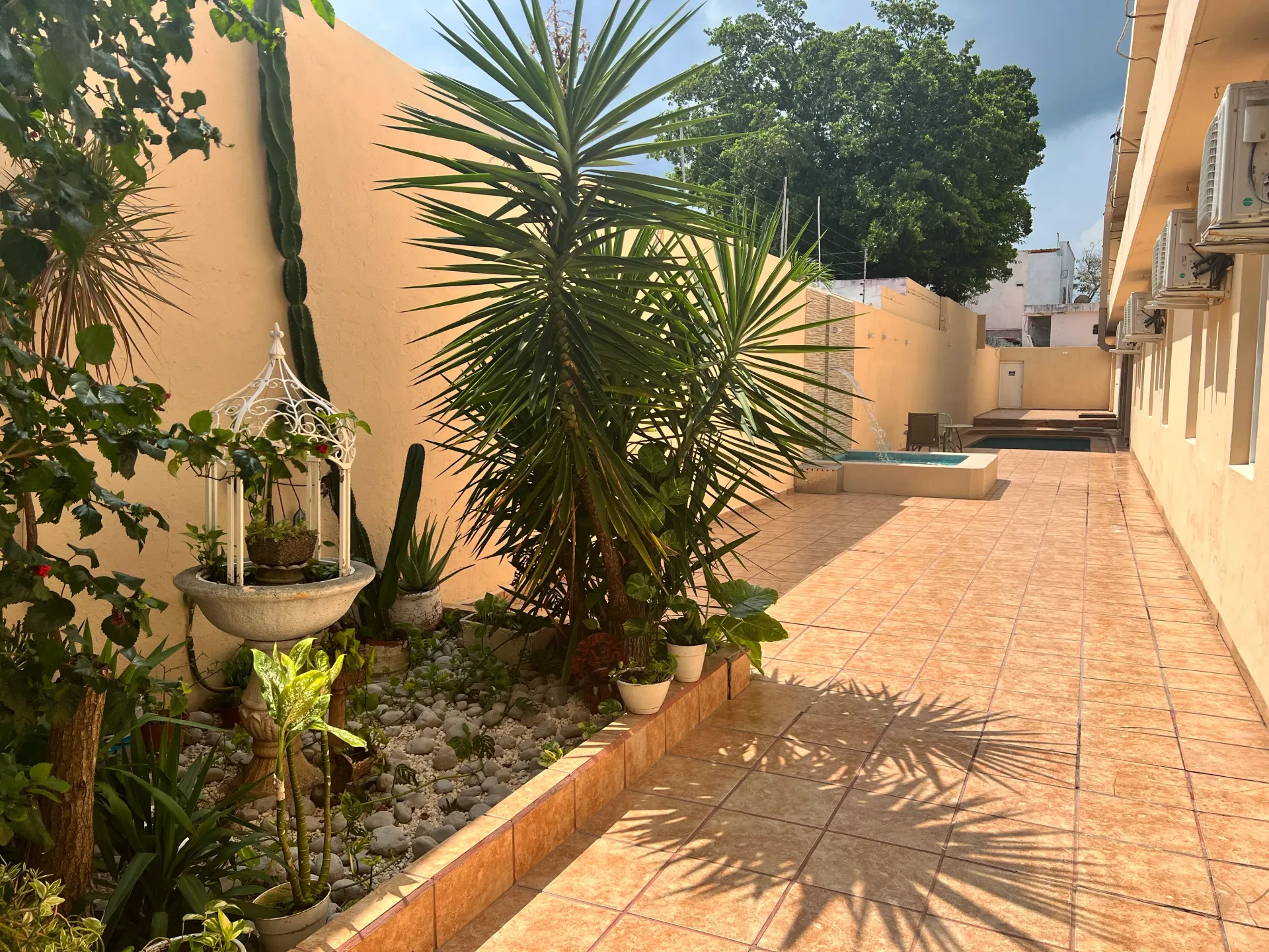 Patio trasero con jardín y patio de baldosas. Las plantas bordean las paredes y se ve una pequeña piscina a lo lejos.