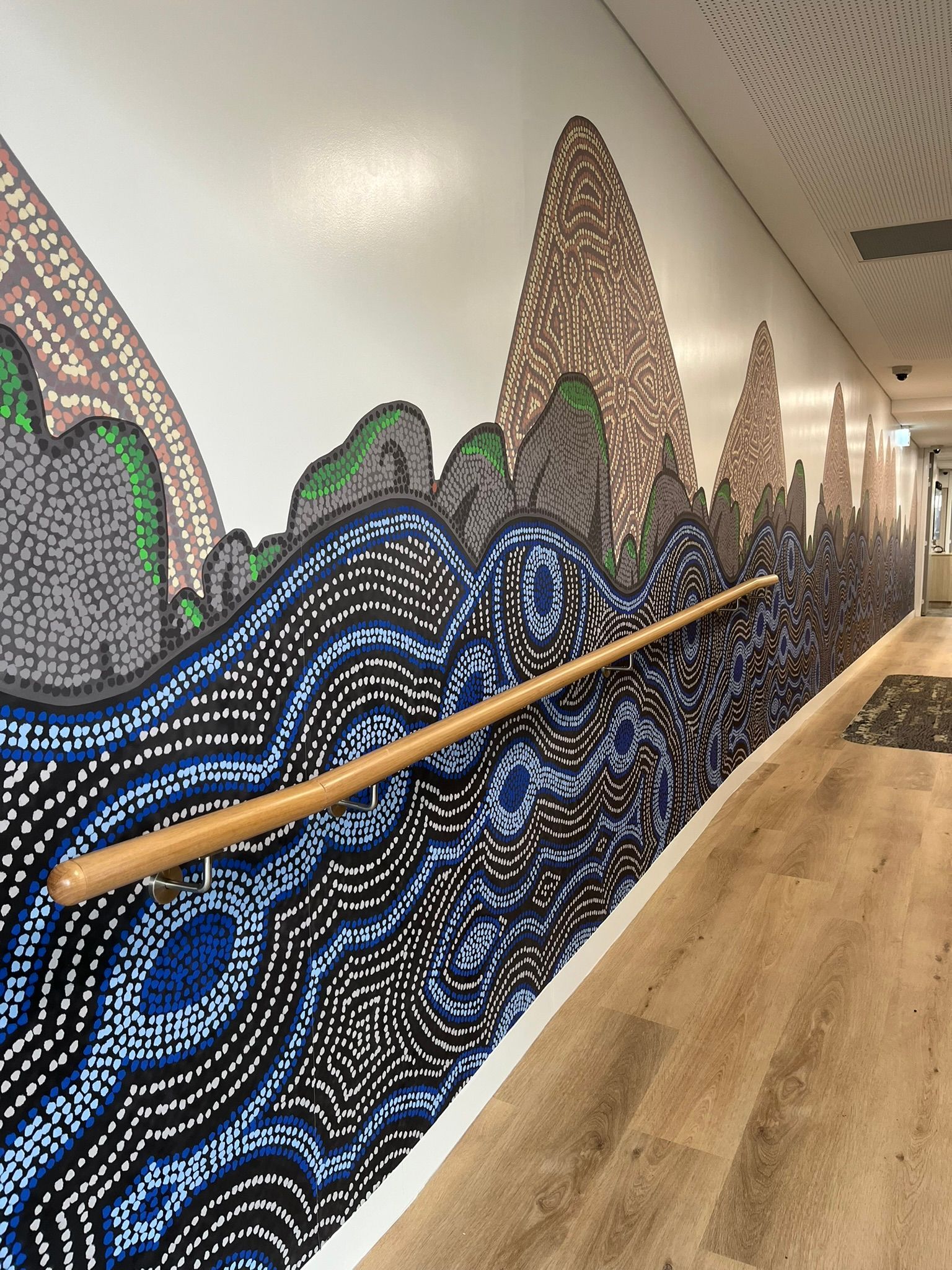 Hallway with Colorful Mountain Mural — Zeal Interiors & Joinery in South Grafton, NSW