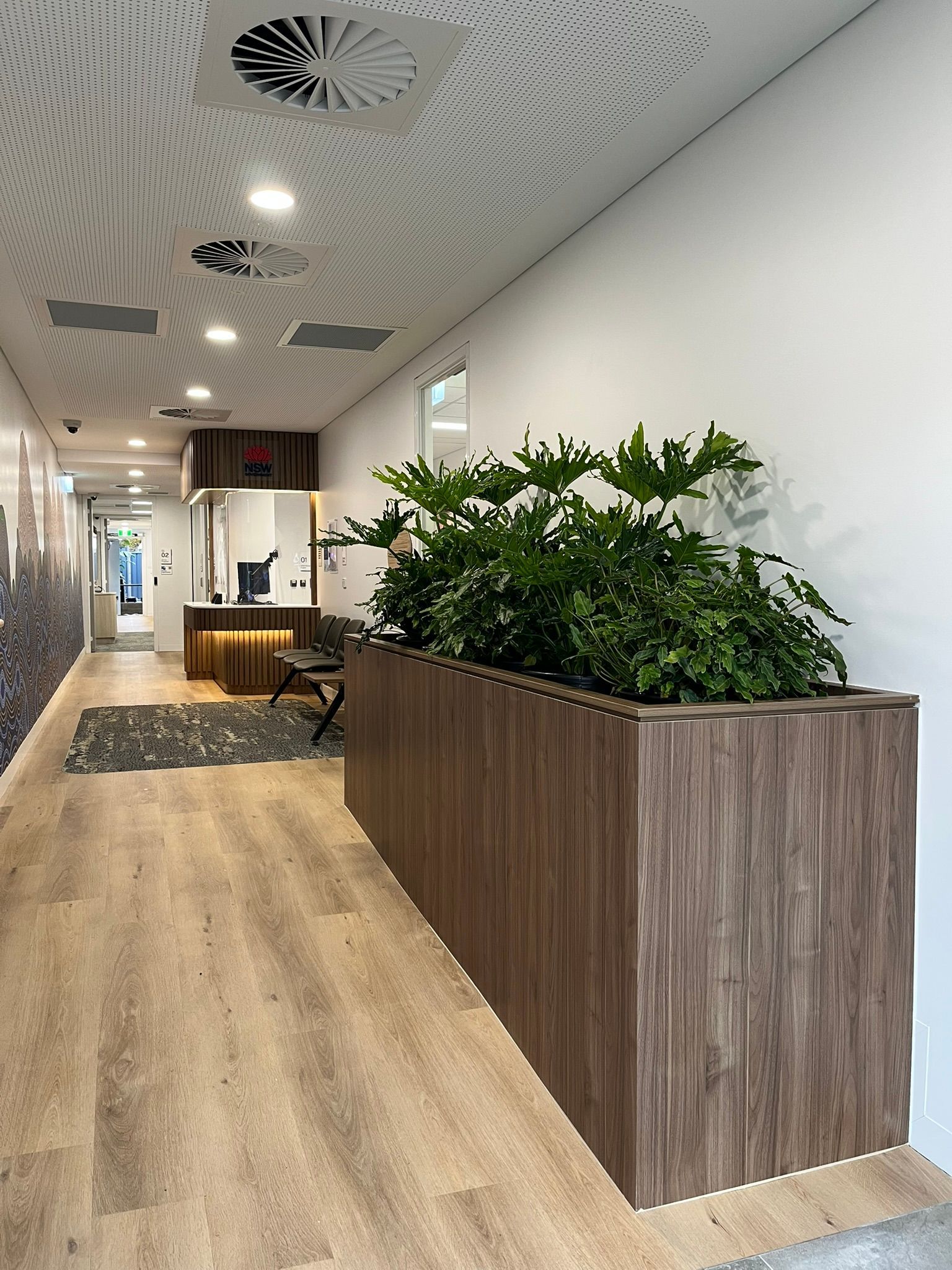 Modern Office Hallway with Wood Flooring — Zeal Interiors & Joinery in South Grafton, NSW