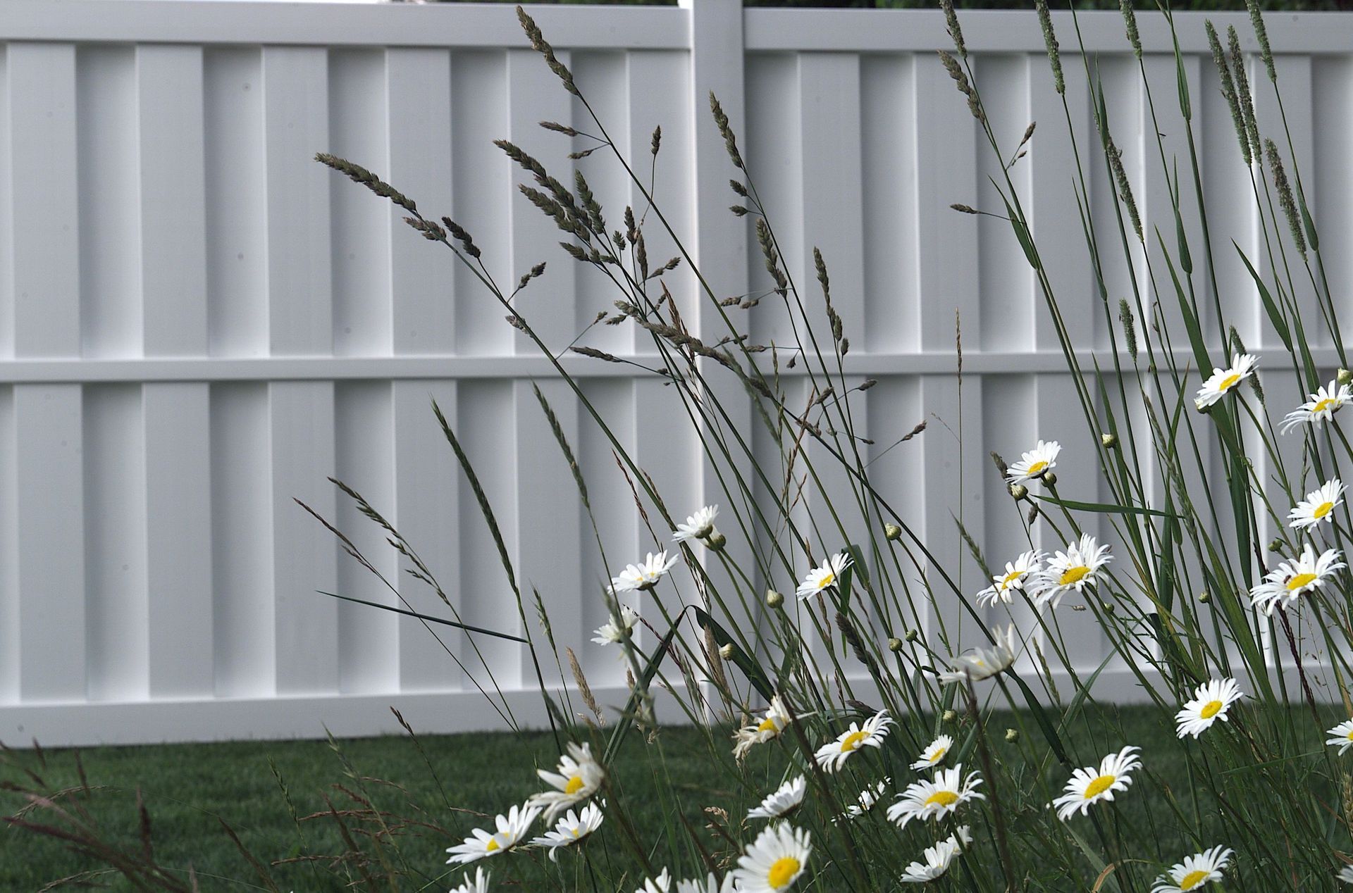 Vinyl Fences
