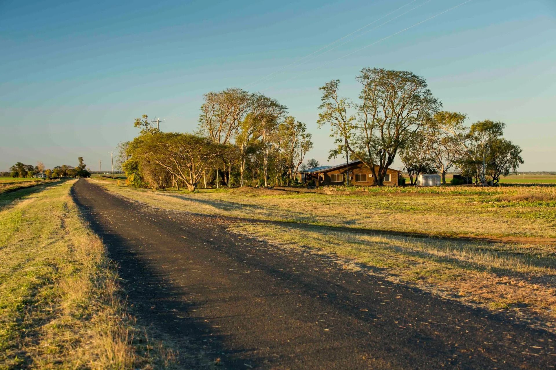 A paved road curves through a dry, grassy field toward a small house partially hidden by trees under a clear blue sky.