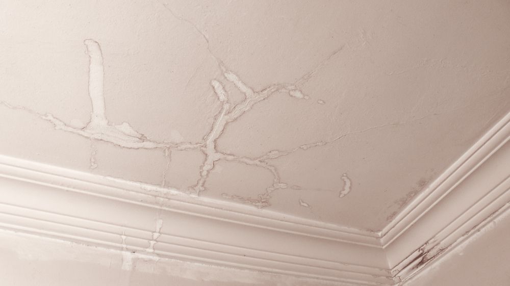 A light-colored ceiling with extensive, branching water damage stains and peeling paint in a corner.