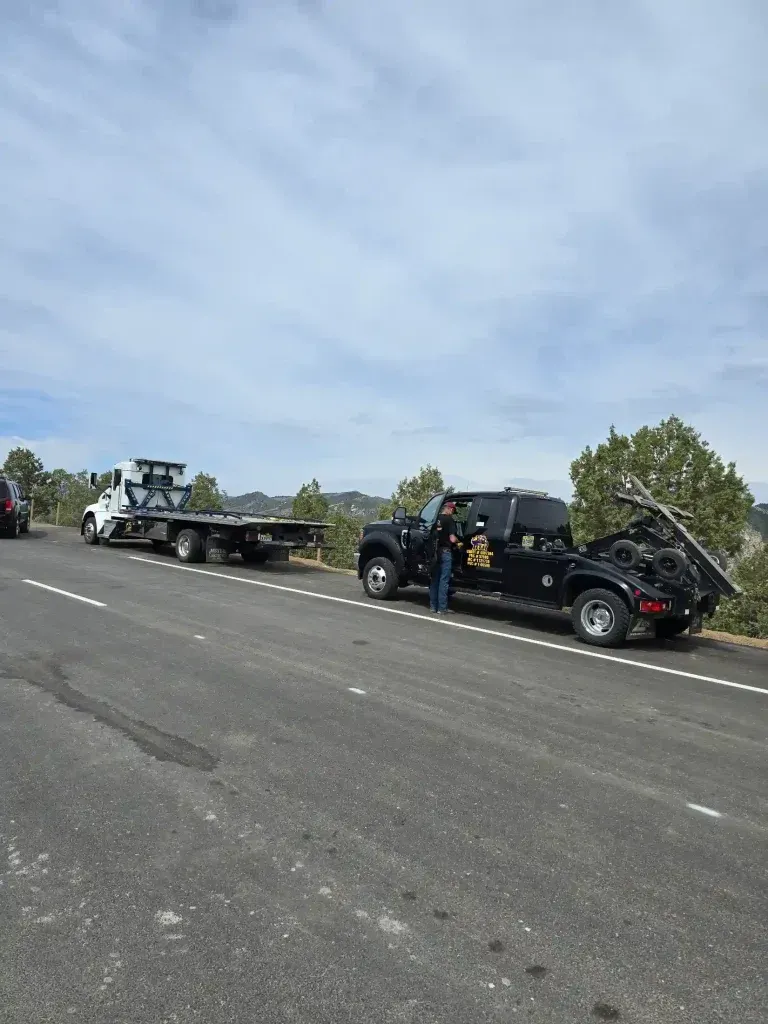 Tow truck towing a black car on a flatbed beside a road under a cloudy sky