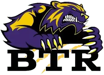 Purple and gold bear mascot above bold black BTR letters