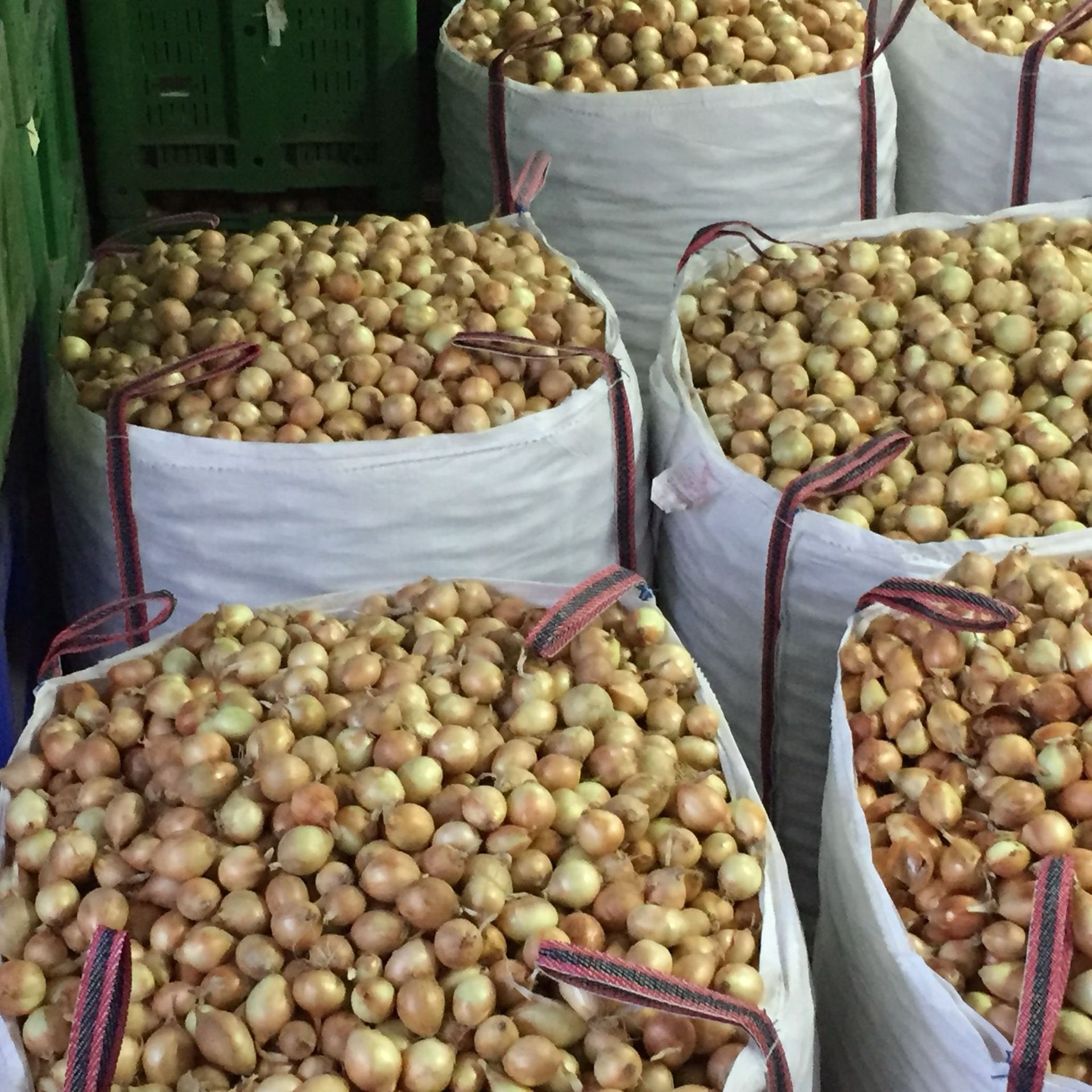 Grandi sacchi pieni di piccoli frutti rotondi in un mercato o in un'area di stoccaggio