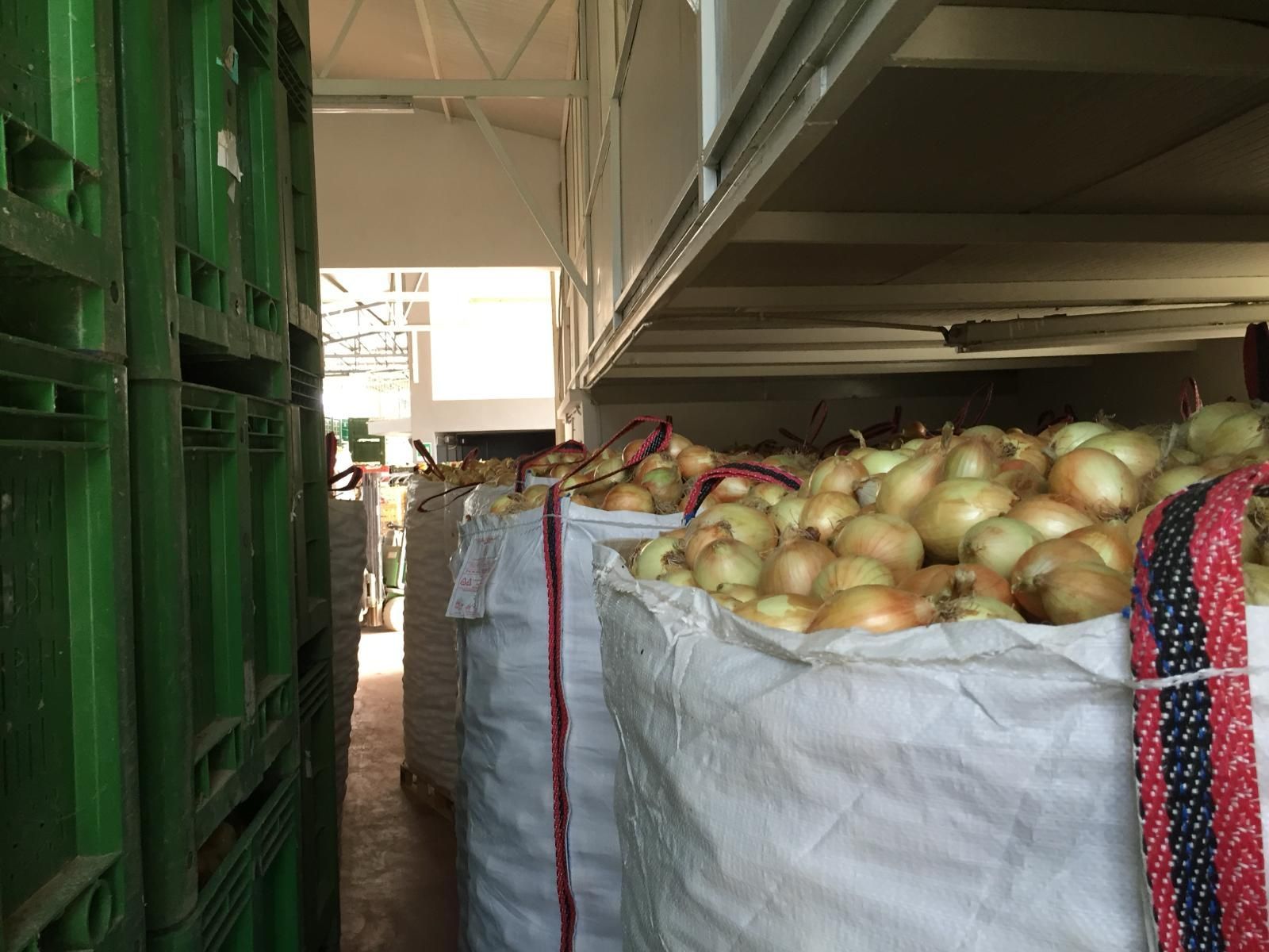 Cipolle accatastate in grandi sacchi in un corridoio di un magazzino, con casse verdi sul lato sinistro.