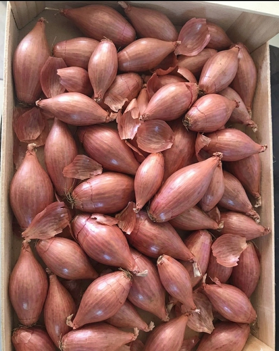 Scatola piena di piccoli scalogni rosso-marroni in una cassa