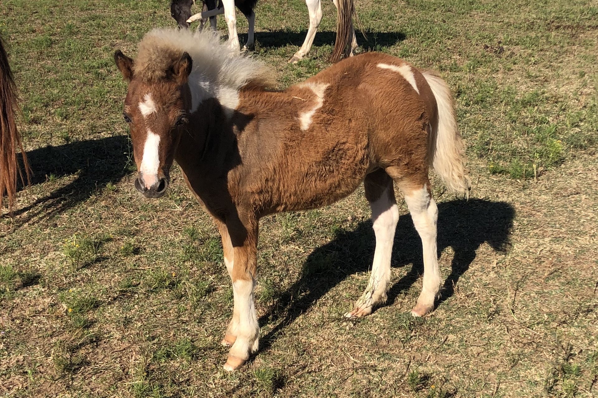 Previously Consigned