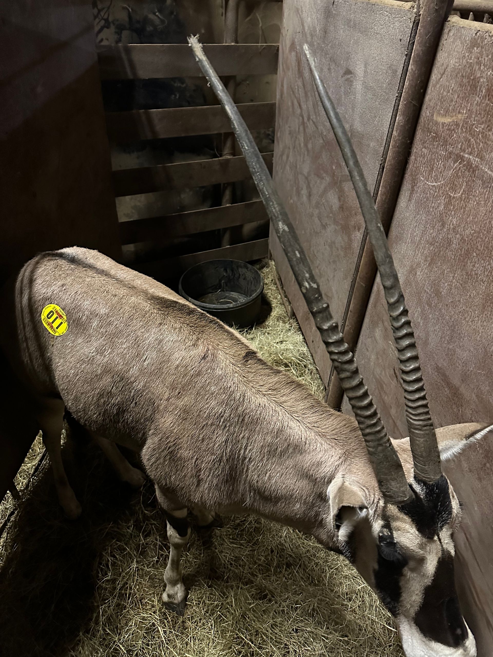 Previously Consigned