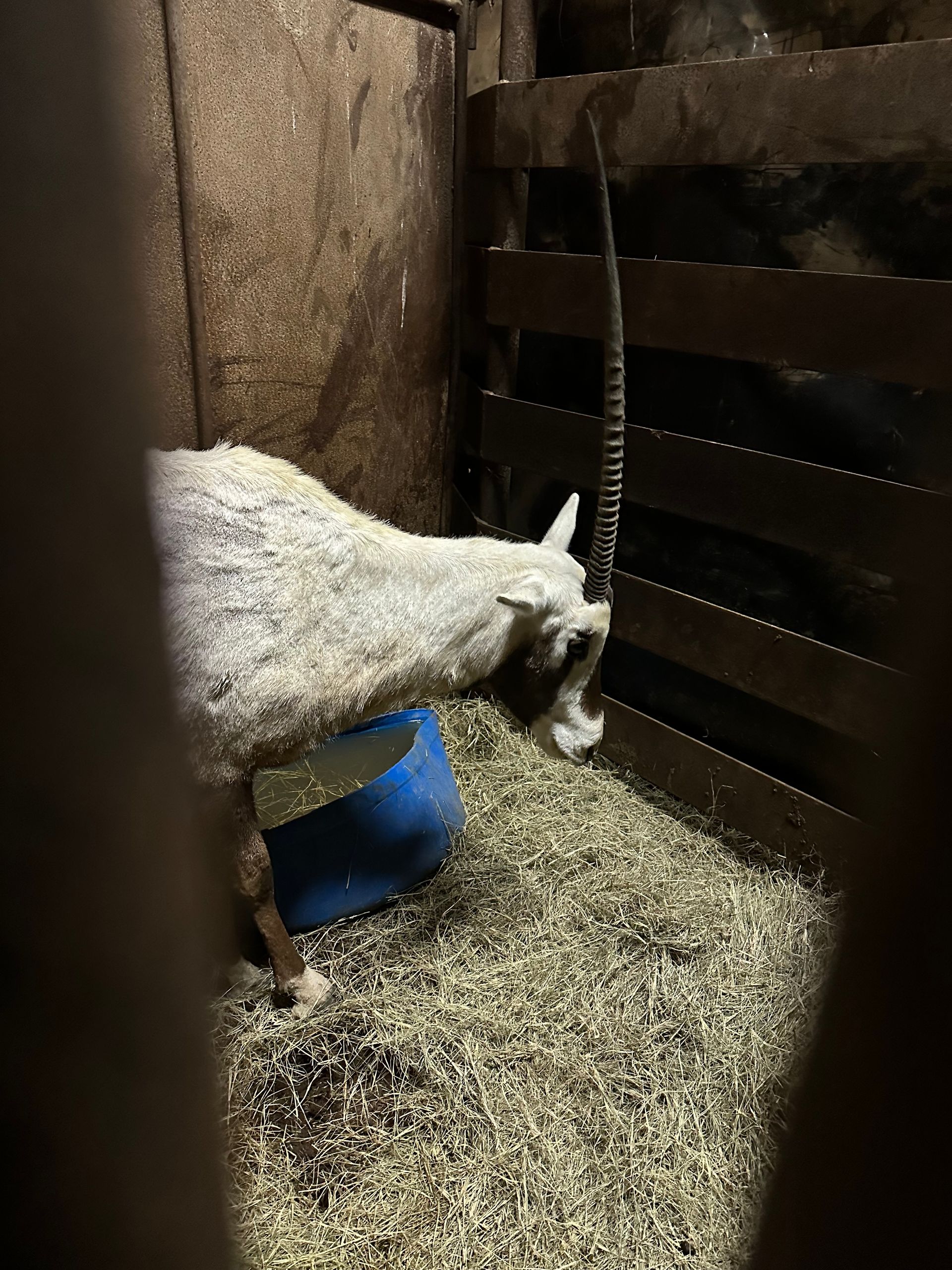 Previously Consigned