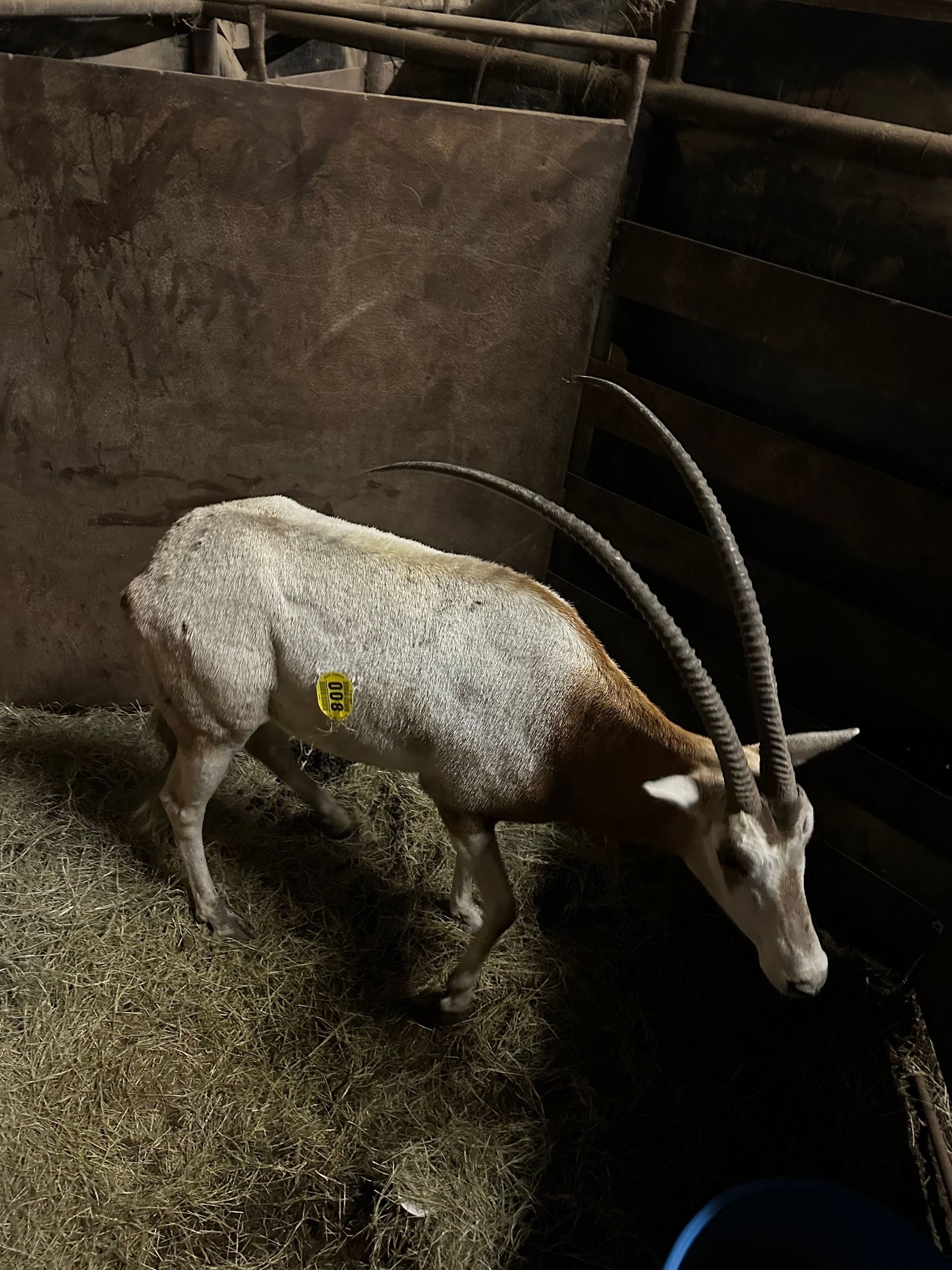 Previously Consigned