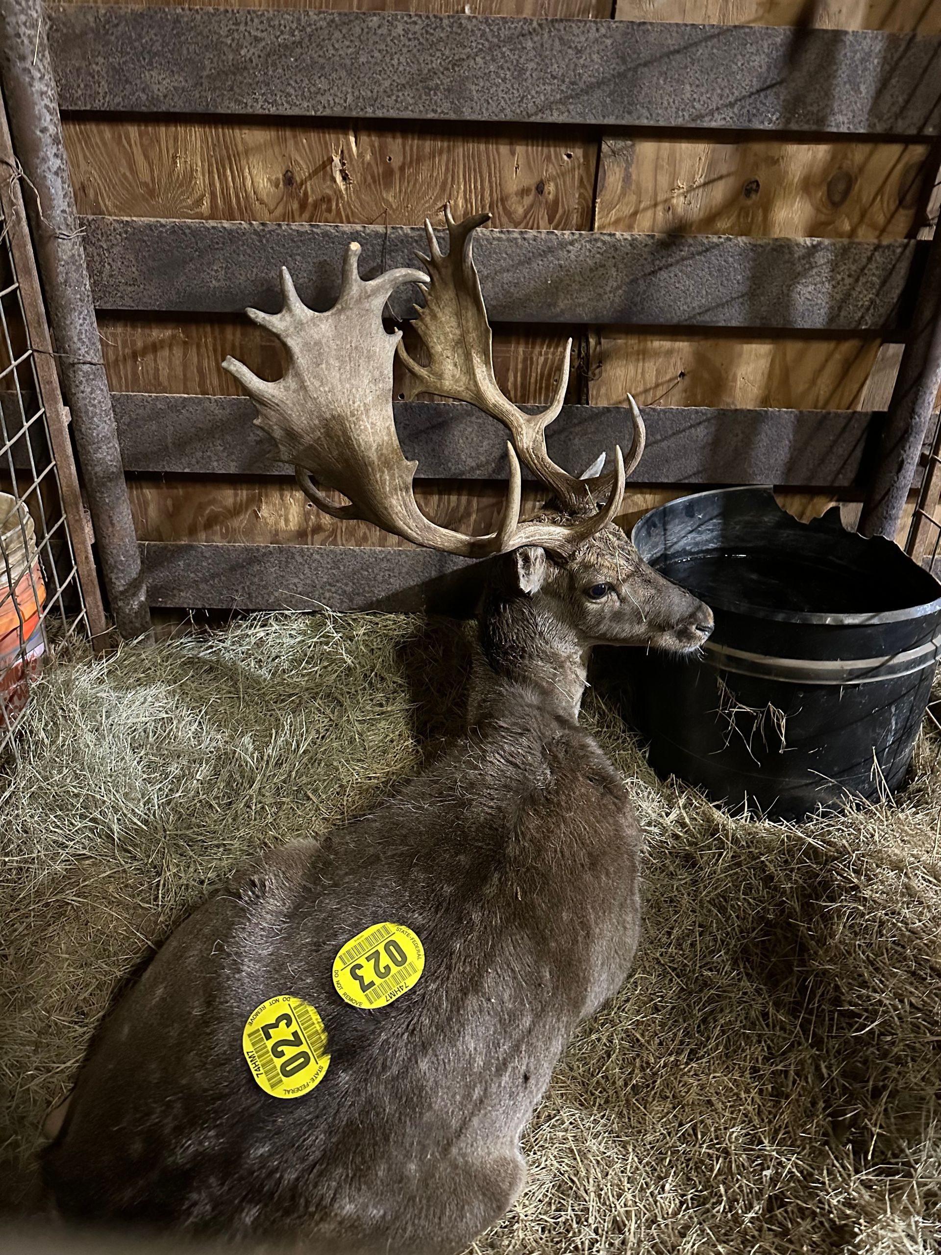 Previously Consigned