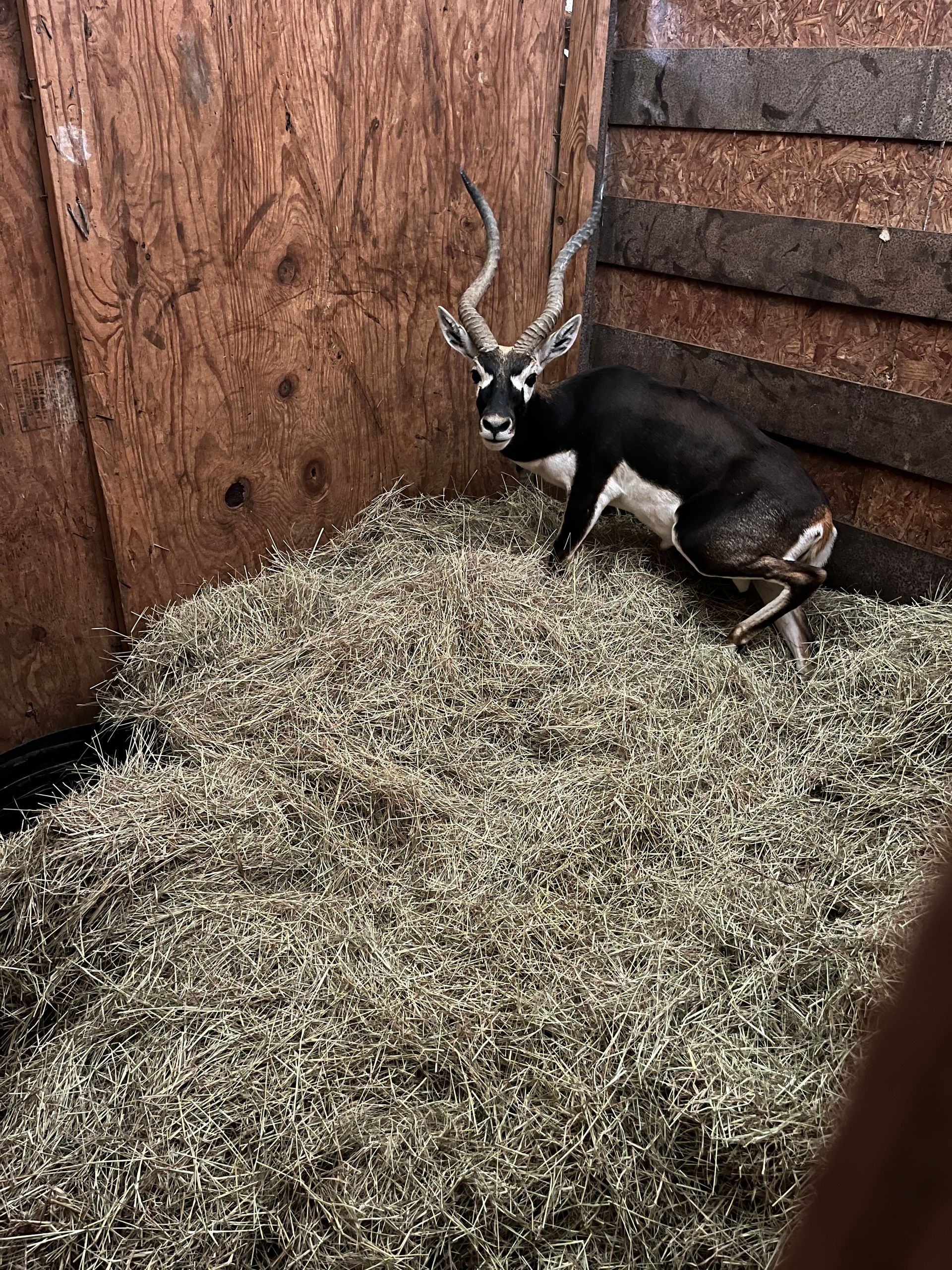 Previously Consigned