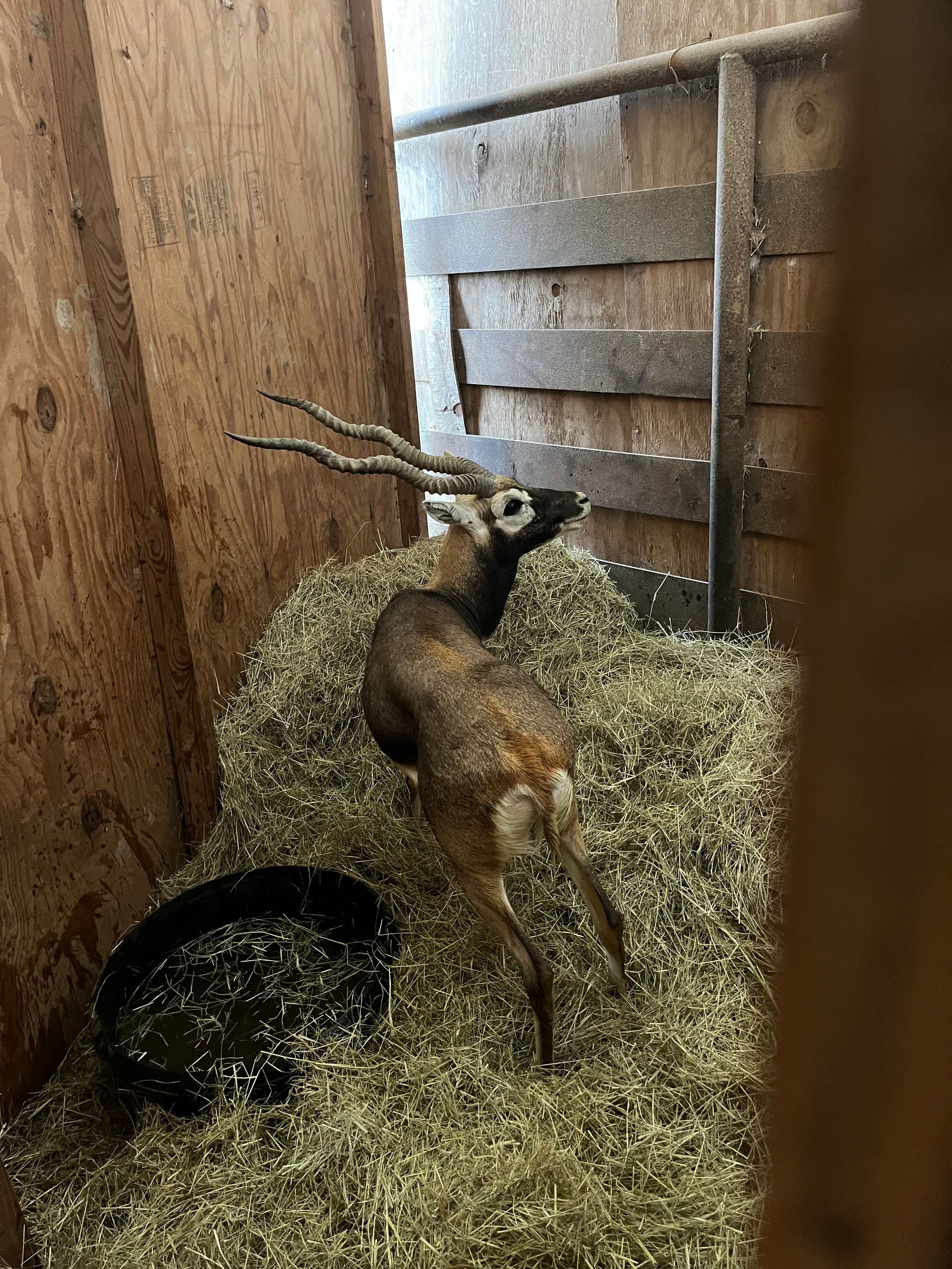 Previously Consigned