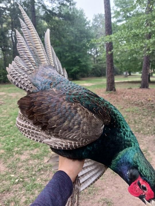 Previously Consigned