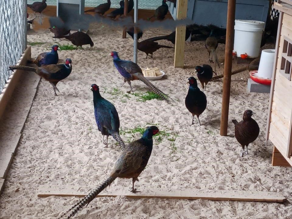 Previously Consigned