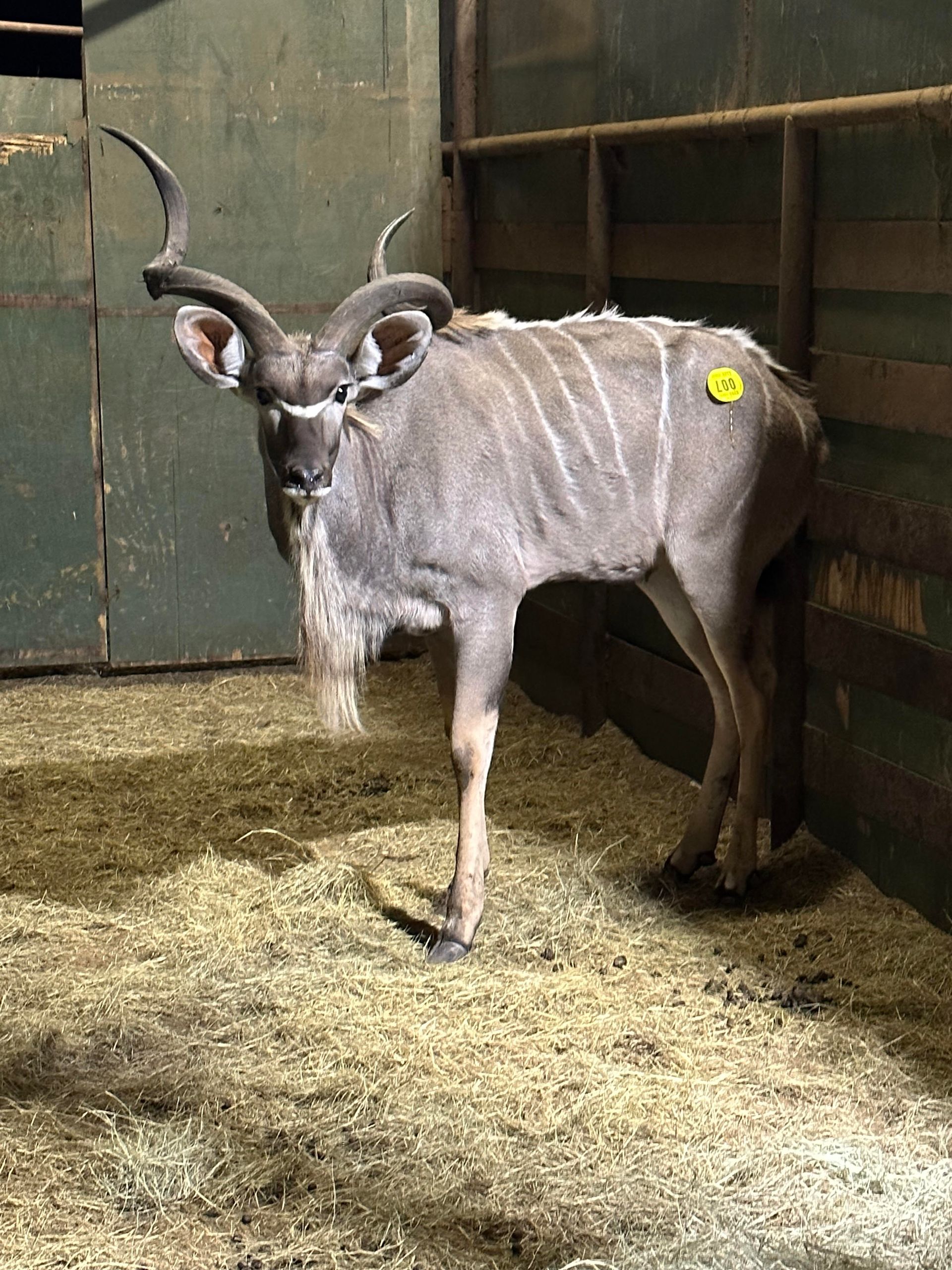 Previously Consigned