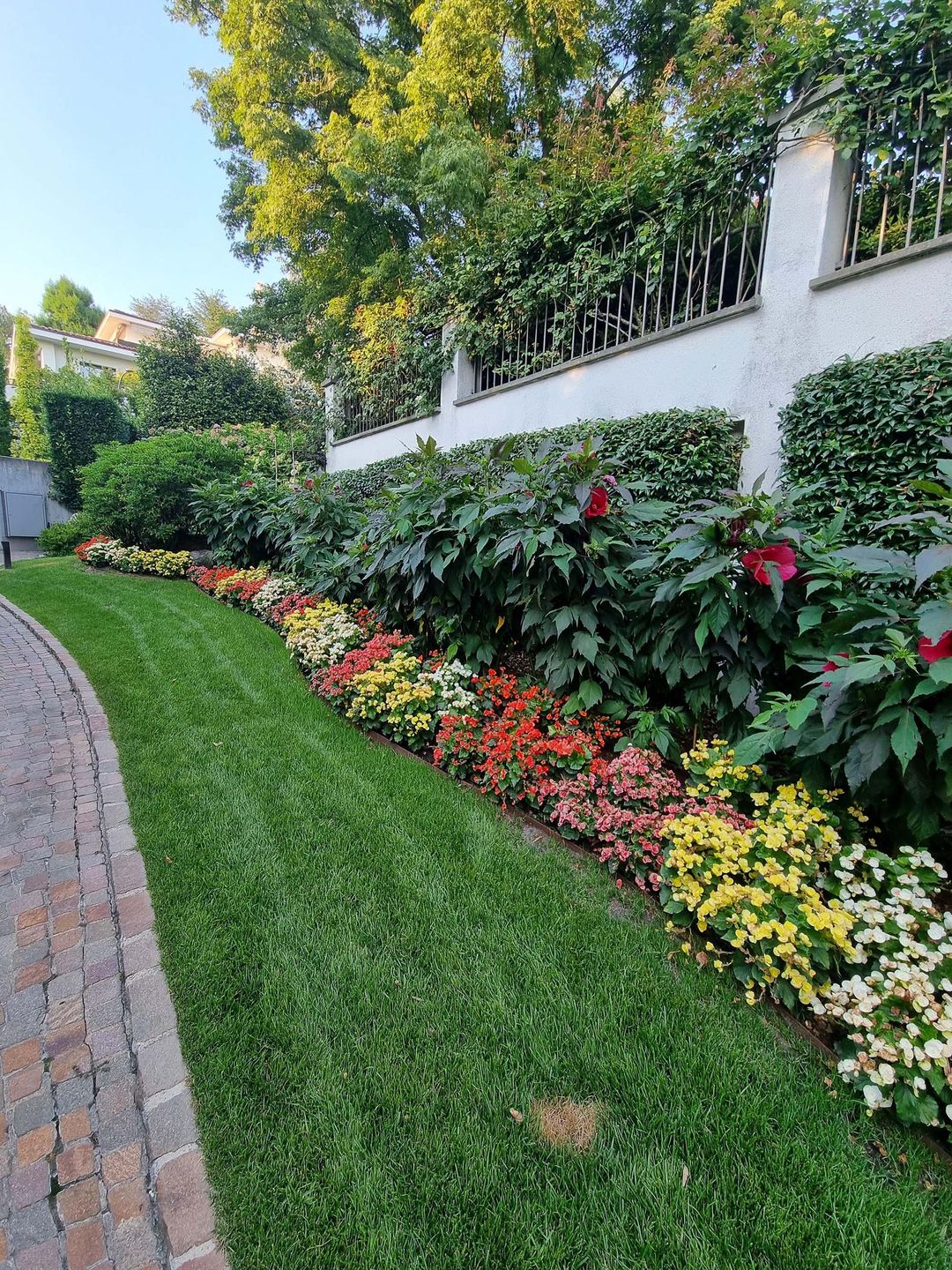giardino con fiori gialli, lilla e fucsia