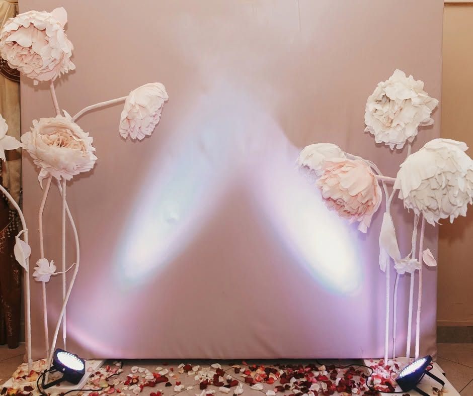 Decorative event backdrop with white paper flowers and soft pink uplighting on a blank wall