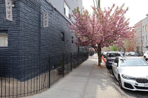 Sidewalk beside a dark brick building lined with parked cars and a blooming pink tree
