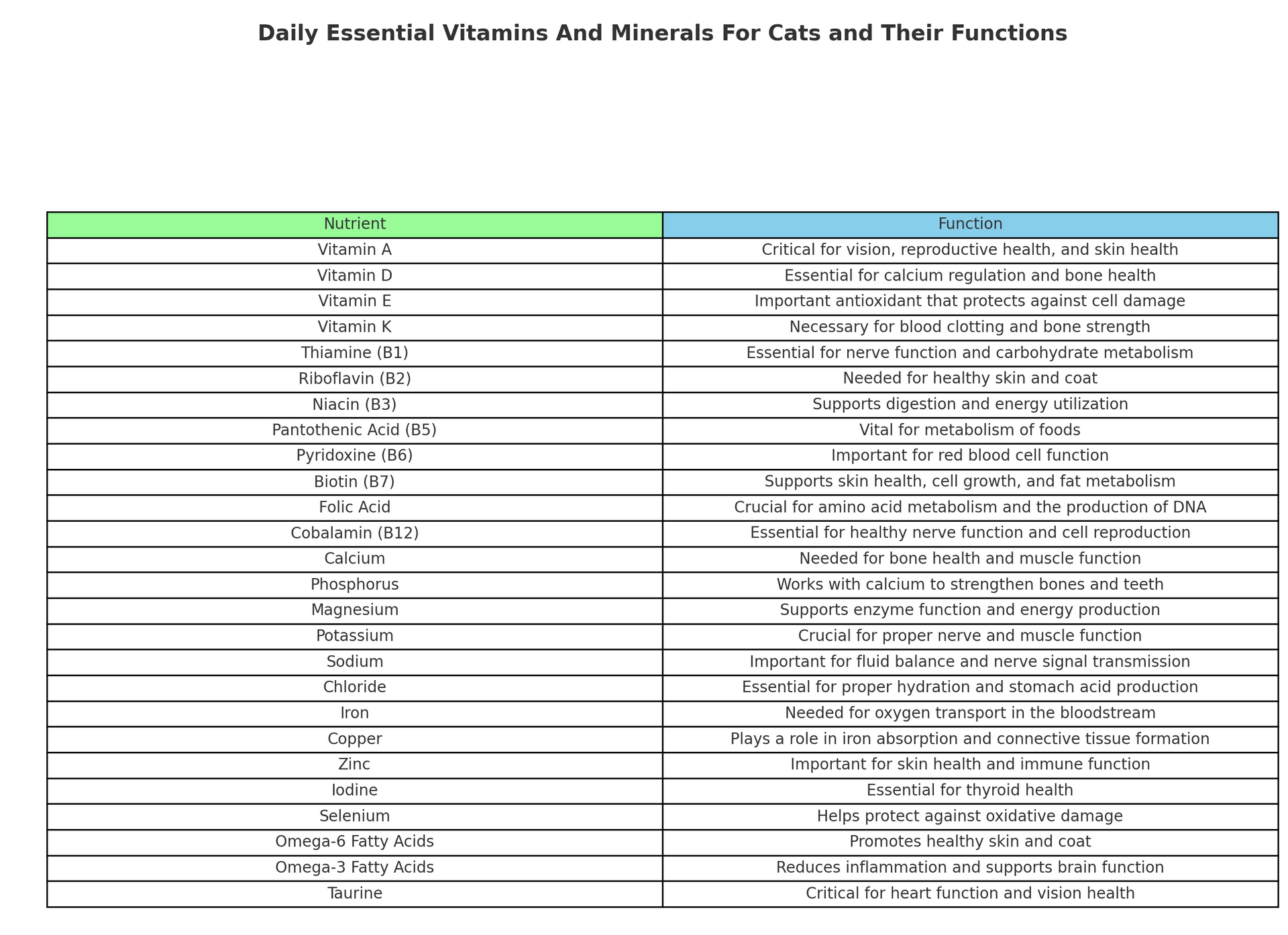 Daily Essential Vitamins And Minerals For Cats and Their Functions